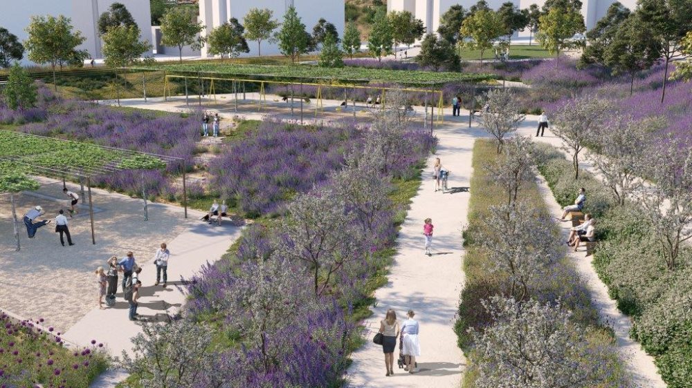 הדמיה באדיבות ארי ברוק 