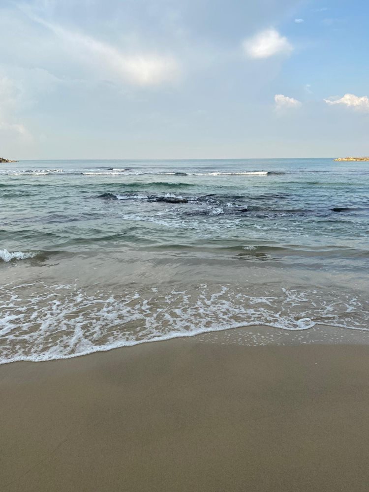 תרופה לנפש. ישתבח