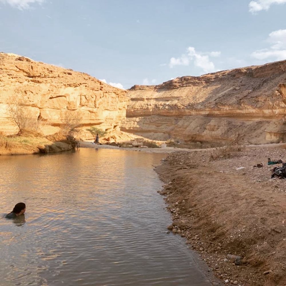 מסלול לכל המשפחה בירוחם. צילום אבישי אפרת, The White Hill Guesthouse