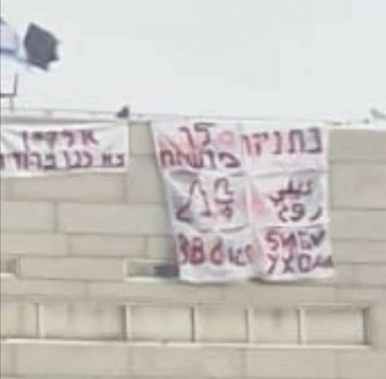 צילום: בועז לביא 