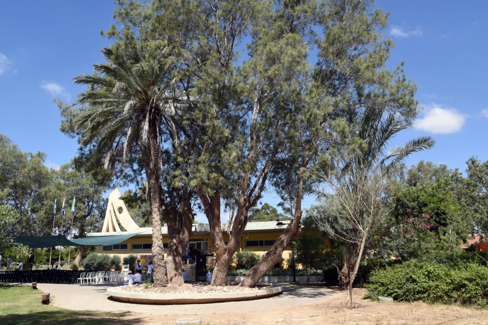 משתלת גילת. קרדיט דודו גרינשפן וקק"ל