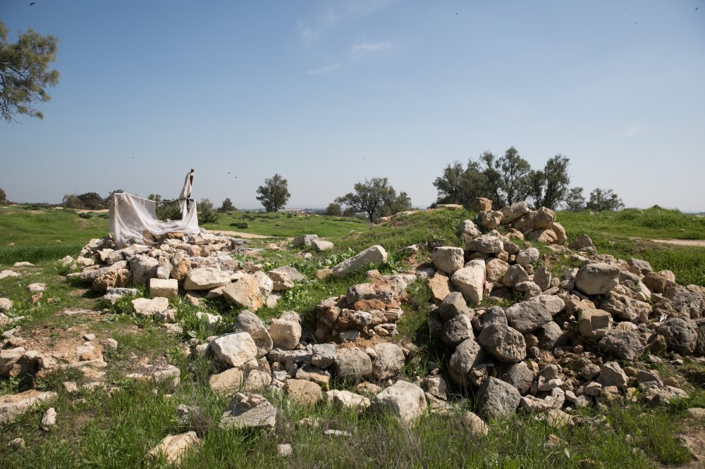 פארק שרשרת נחל גרר. קרדיט דייגו מיטלברג וקק"ל