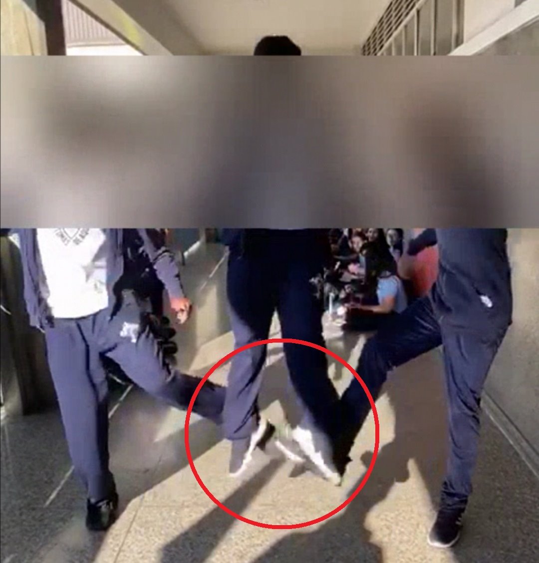 צילום מסך מהרשת 