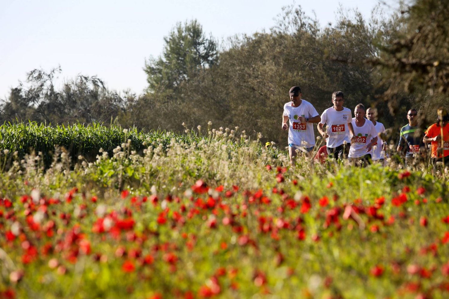 צילום: תומר פדר