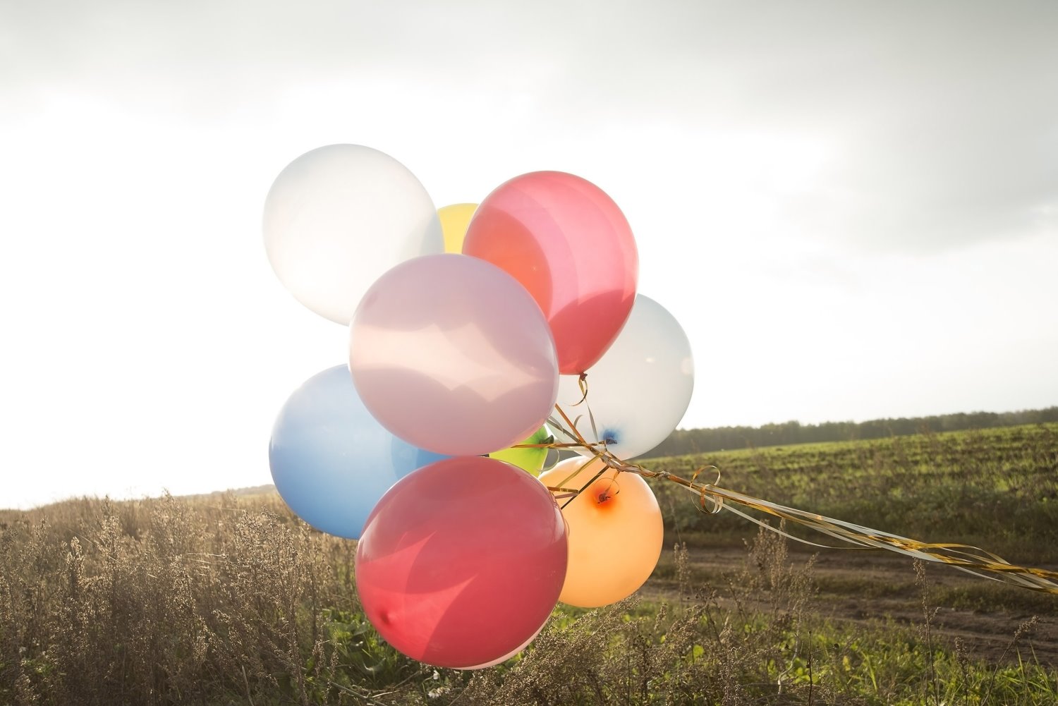 צילום: shutterstock אילוסטרציה 