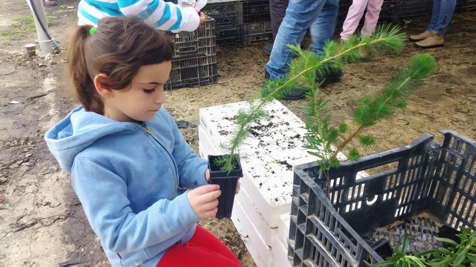צילום באדיבות עיריית ערד 