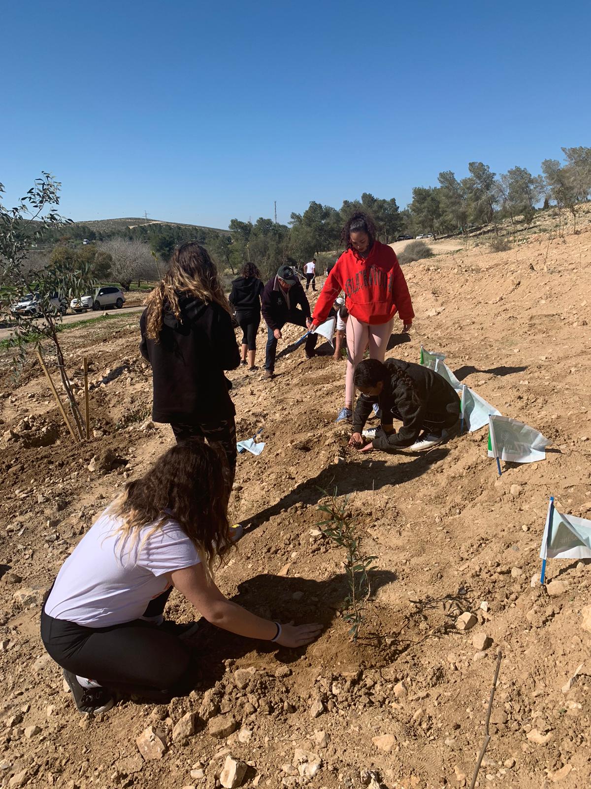 קרדיט צילום קק&quot;ל 