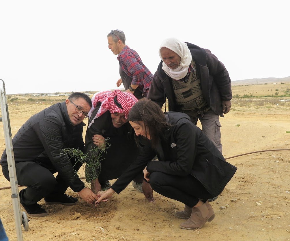צילום מרקם אזורי