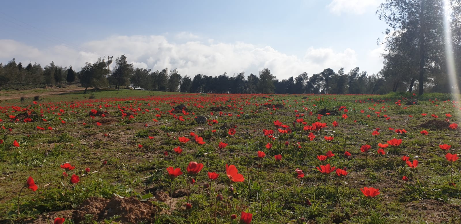 קרדיט: אודי נתן, תיירות בני שמעון