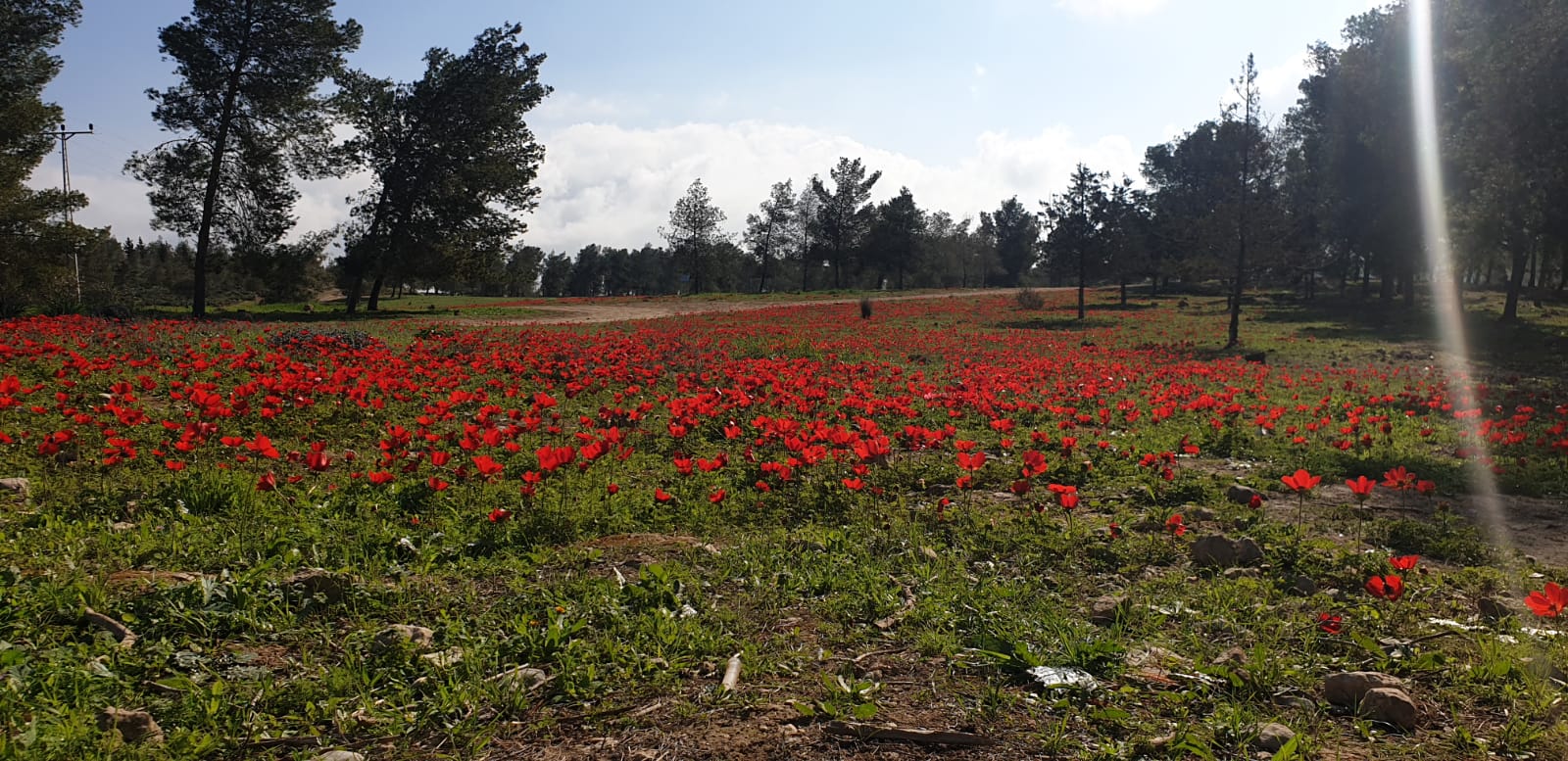 קרדיט: אודי נתן, תיירות בני שמעון
