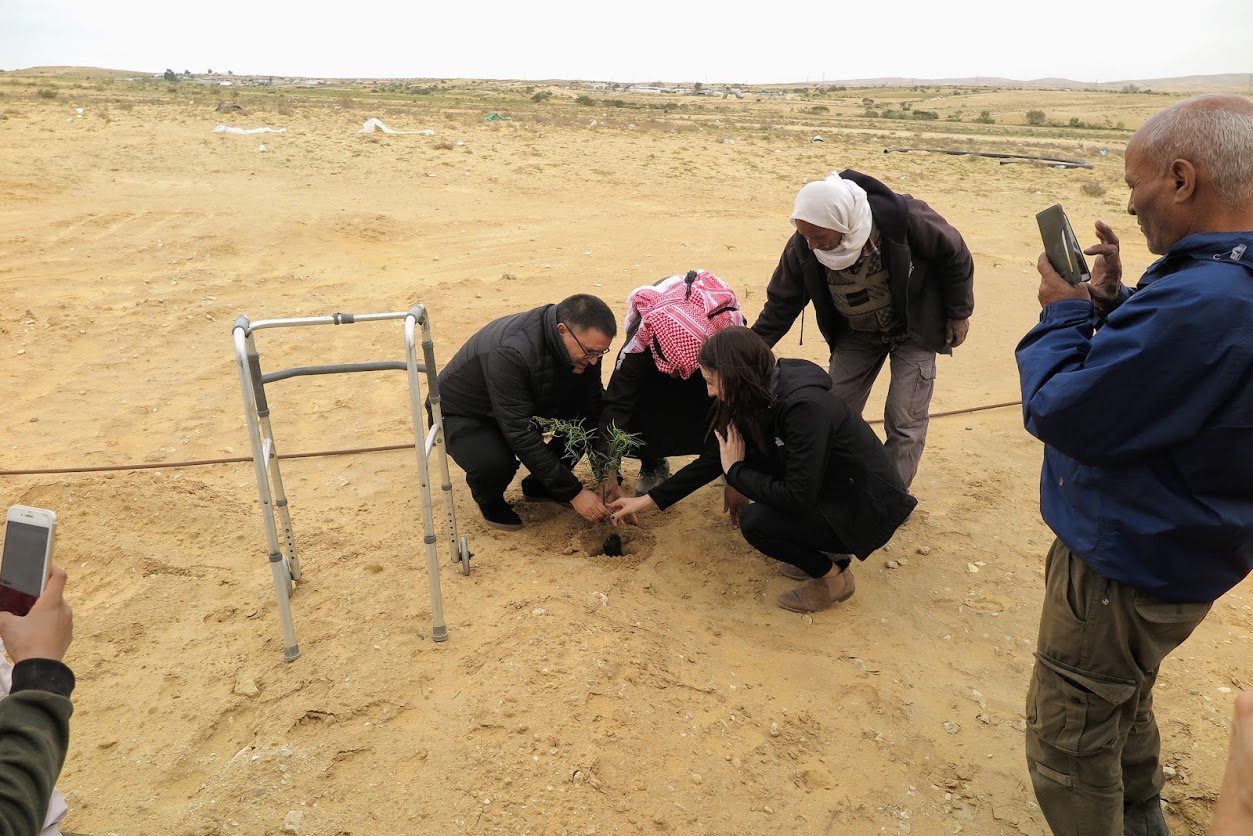 צילום מרקם אזורי