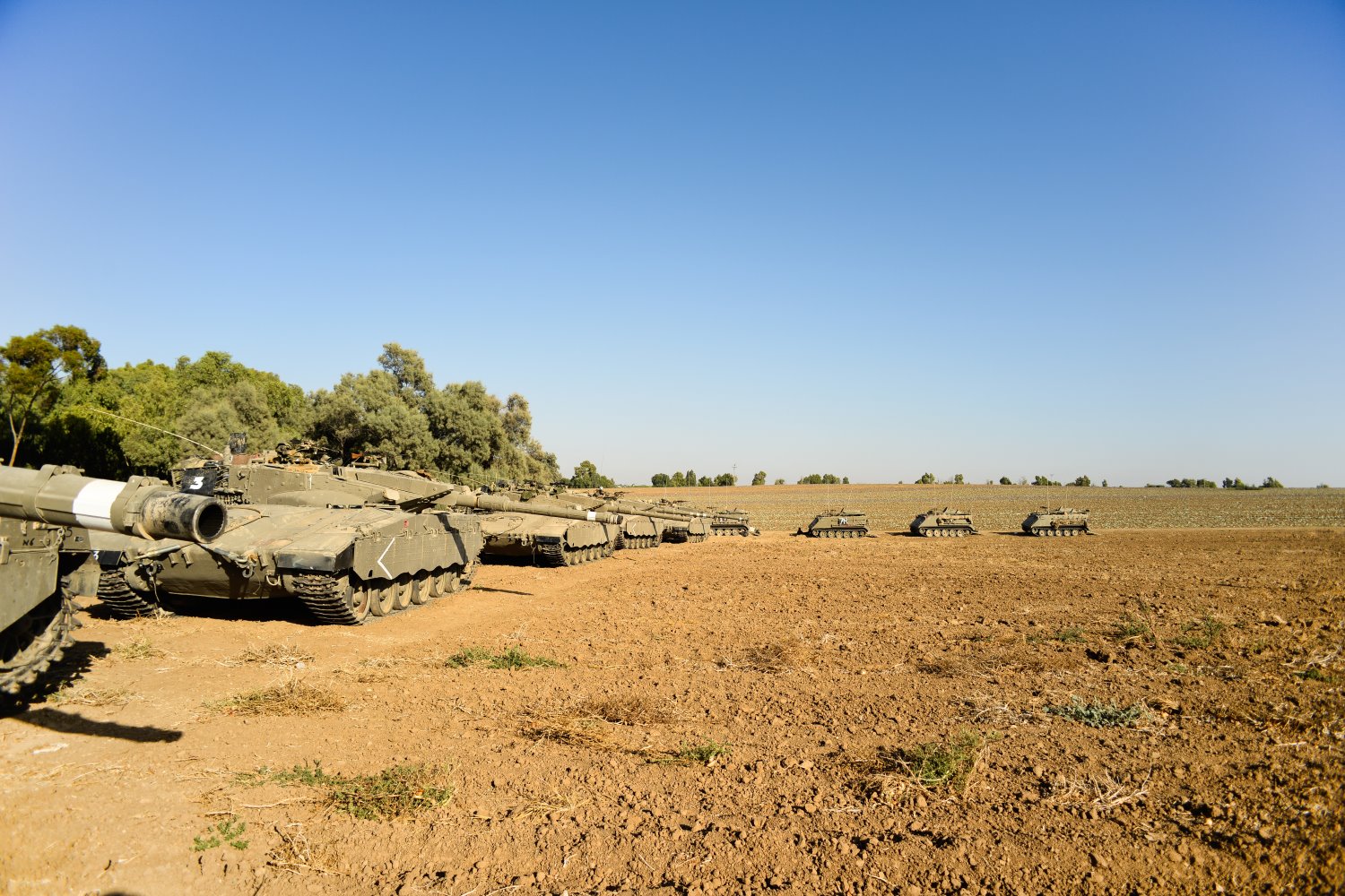 צילום: shutterstock 