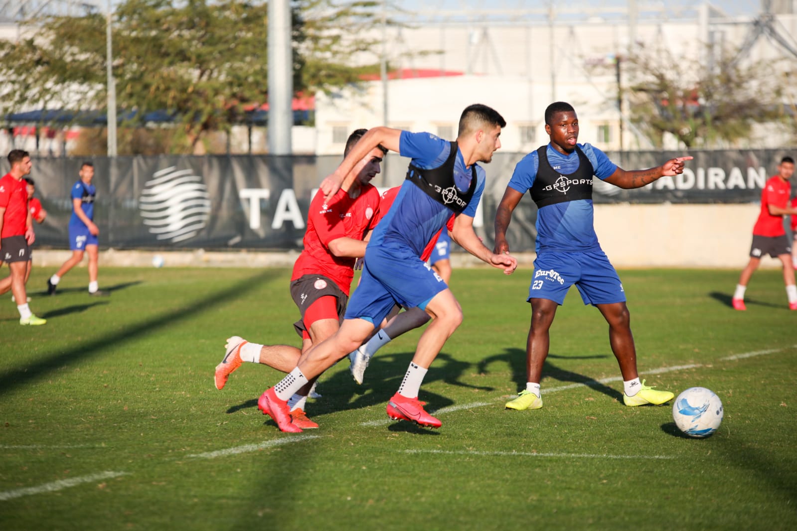 צילום: זאב דיקמן