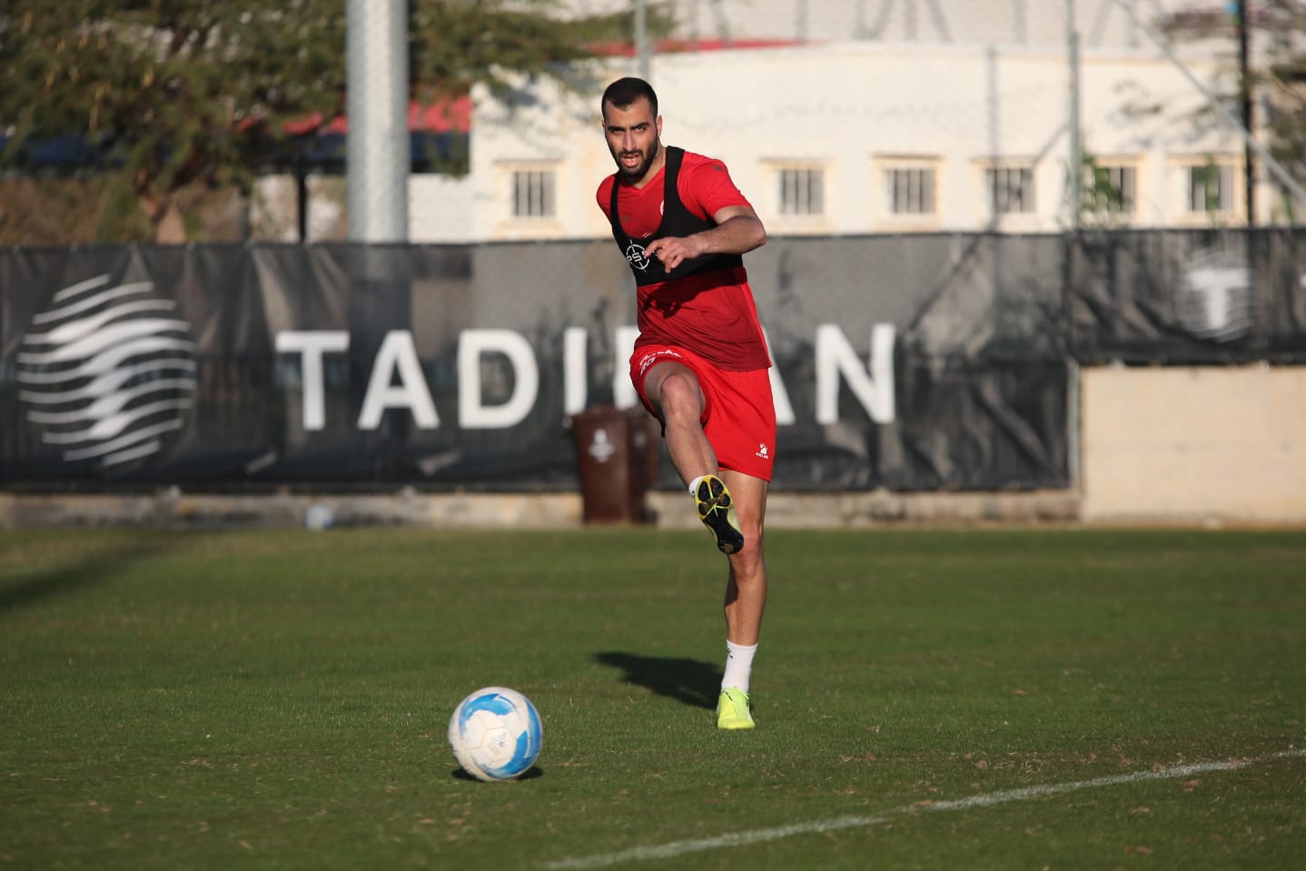 צילום: זאב דיקמן