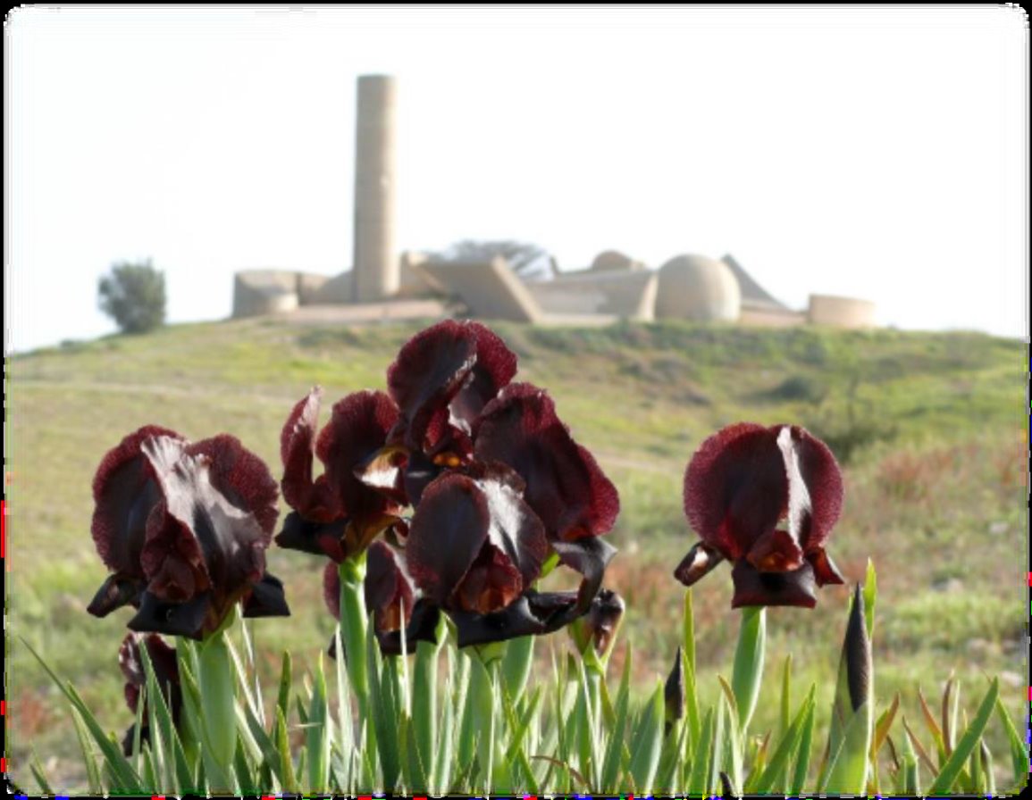 באדיבות עיריית באר שבע 