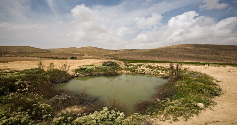 צילום דורון ניסים
