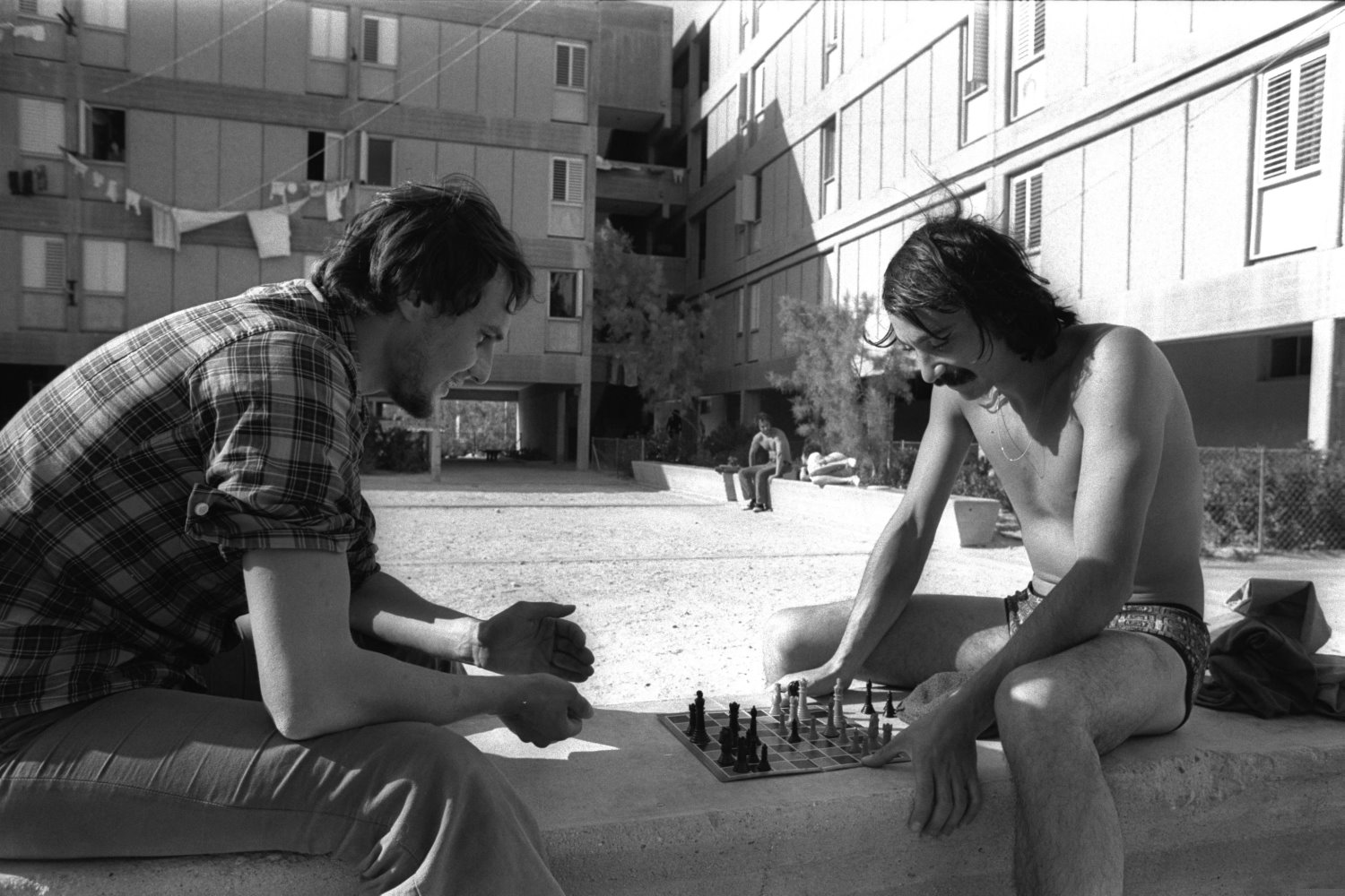 ערד צילום מילנר משה