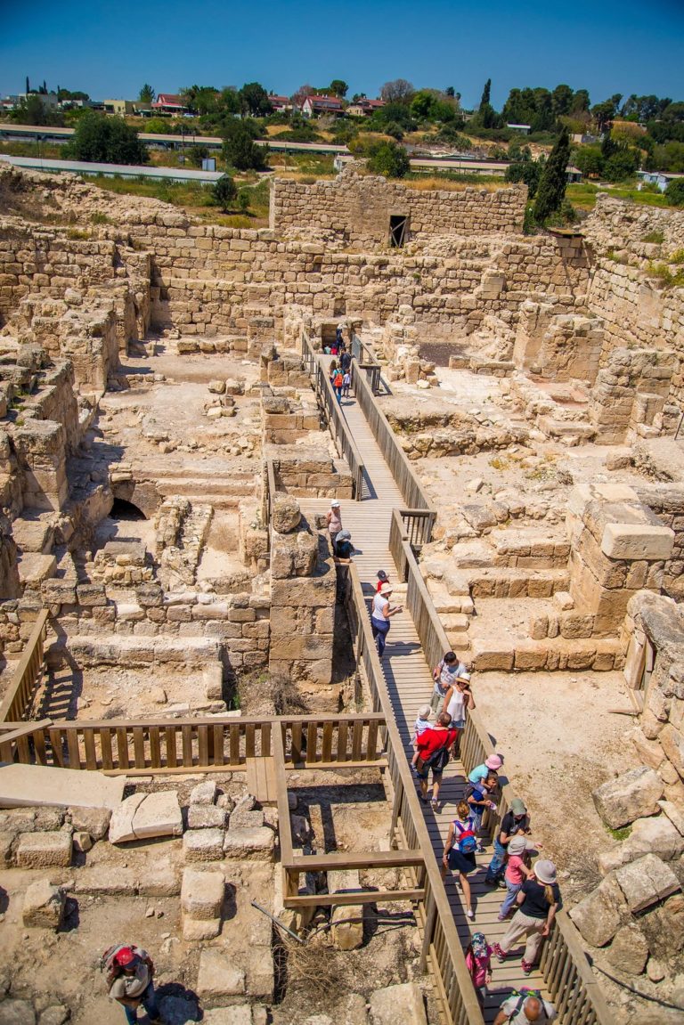 צילום מנו גרינשפן