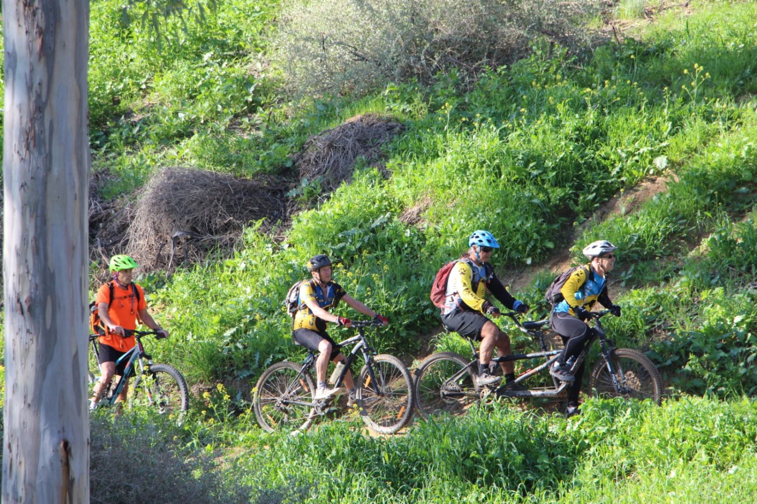 צילום קק&quot;ל