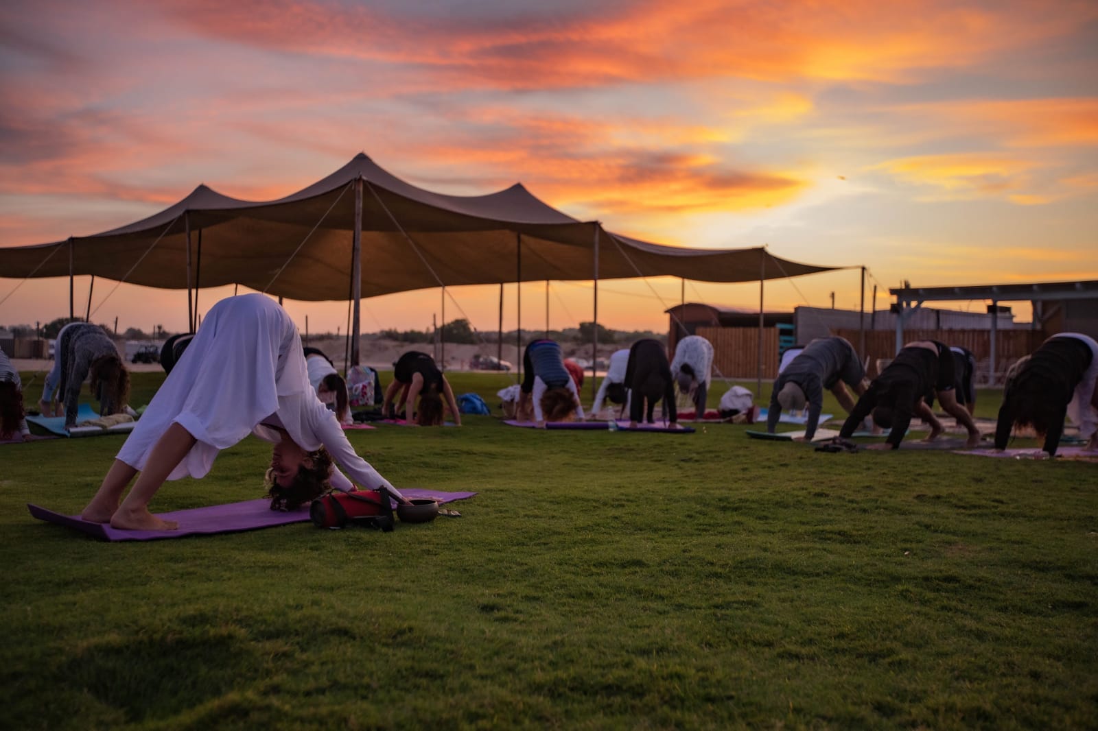 קרדיט ענבל בן דרור