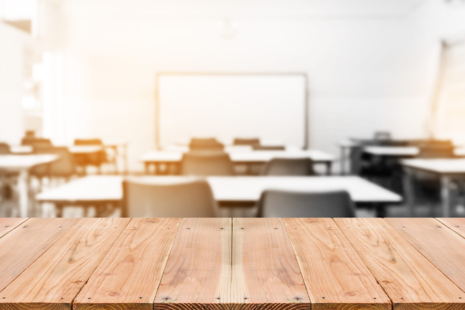 צילום: shutterstock