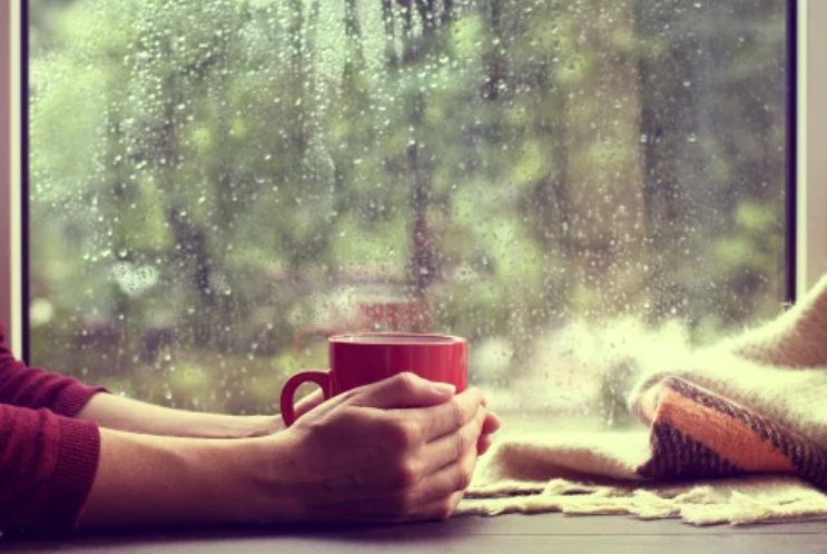 צילום: shutterstock אילוסטרציה