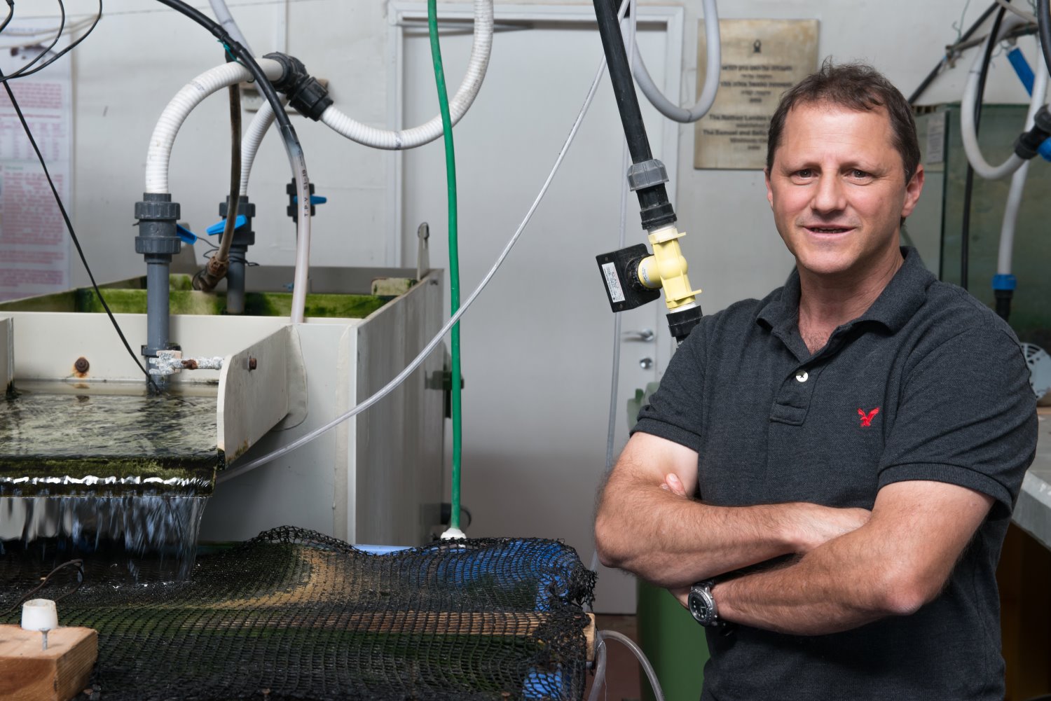 פרופ' עמית גרוס צילום: דני מכליס