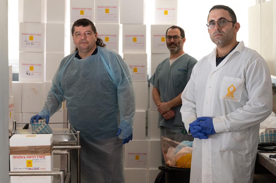 צילום: דני מכליס