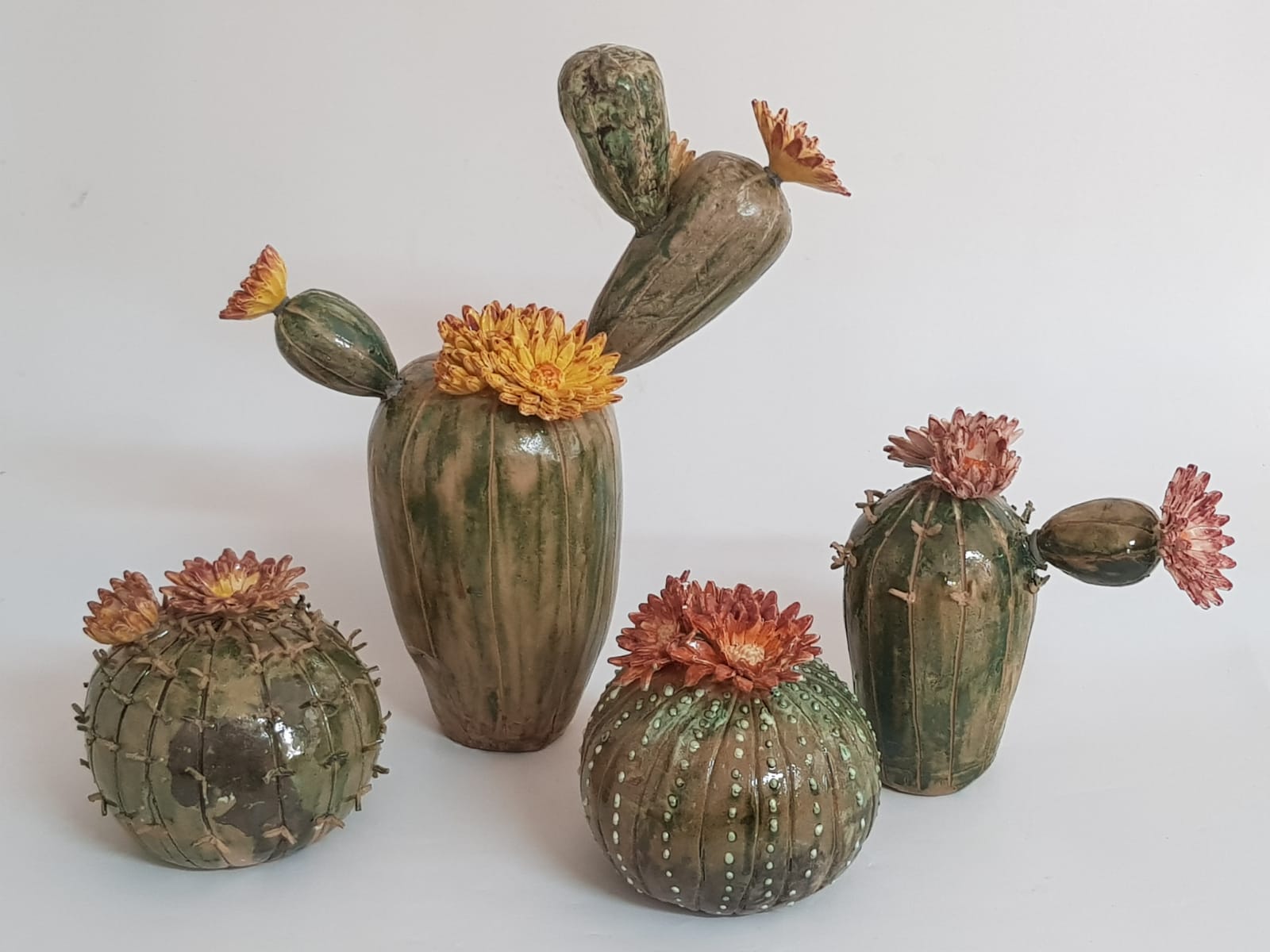 צילום מיכל ברקוביץ'