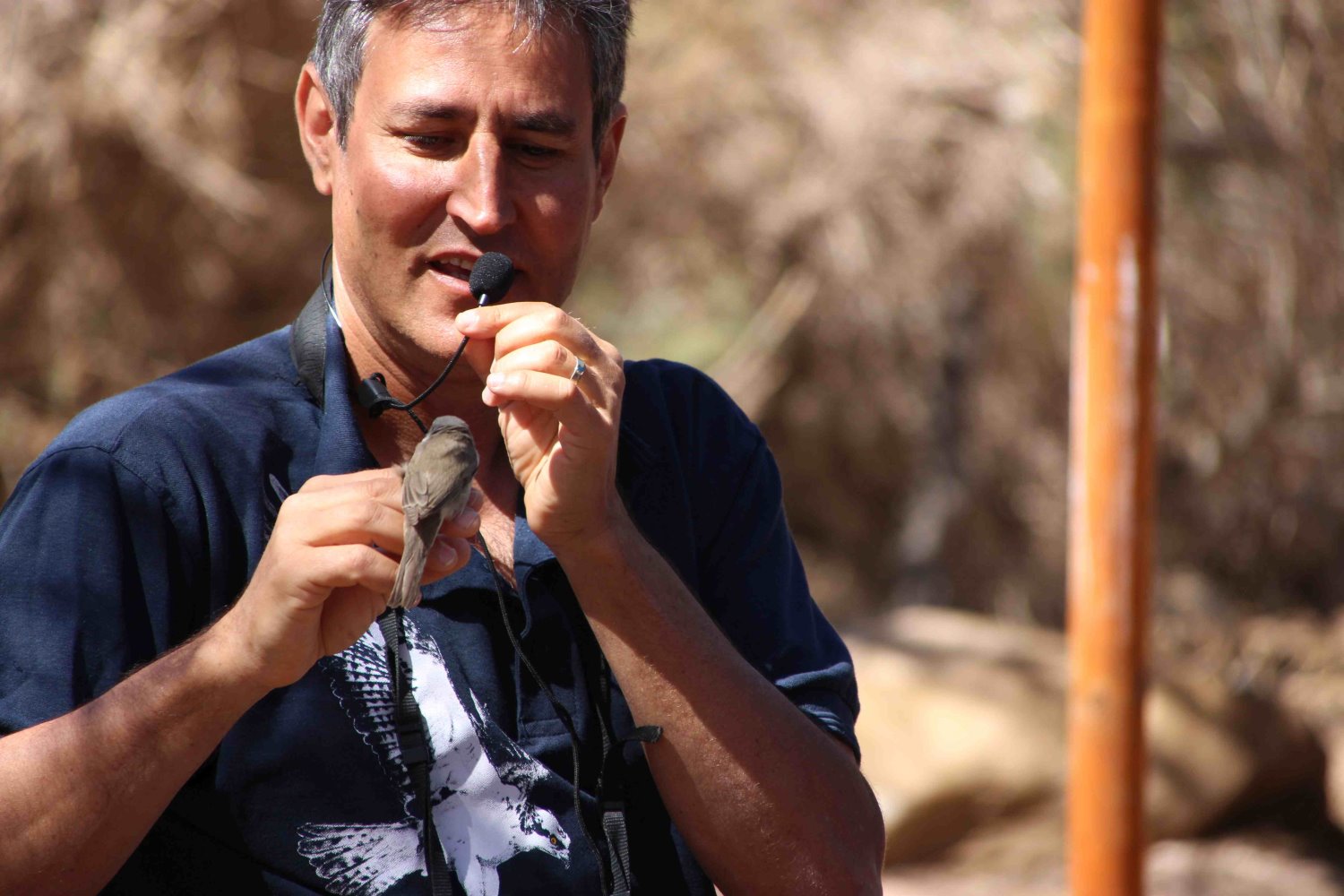 קרדיט דרך הערבה