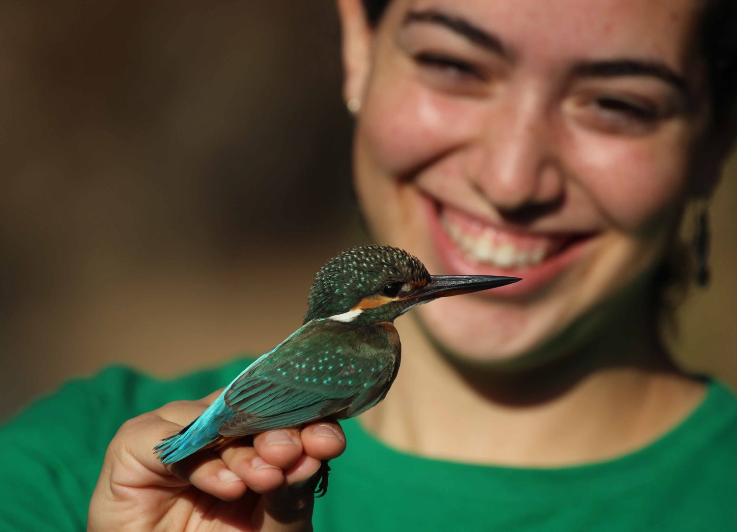 קרדיט נועם וייס