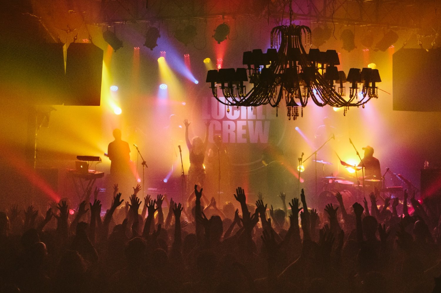 קרדיט צופית ברבי