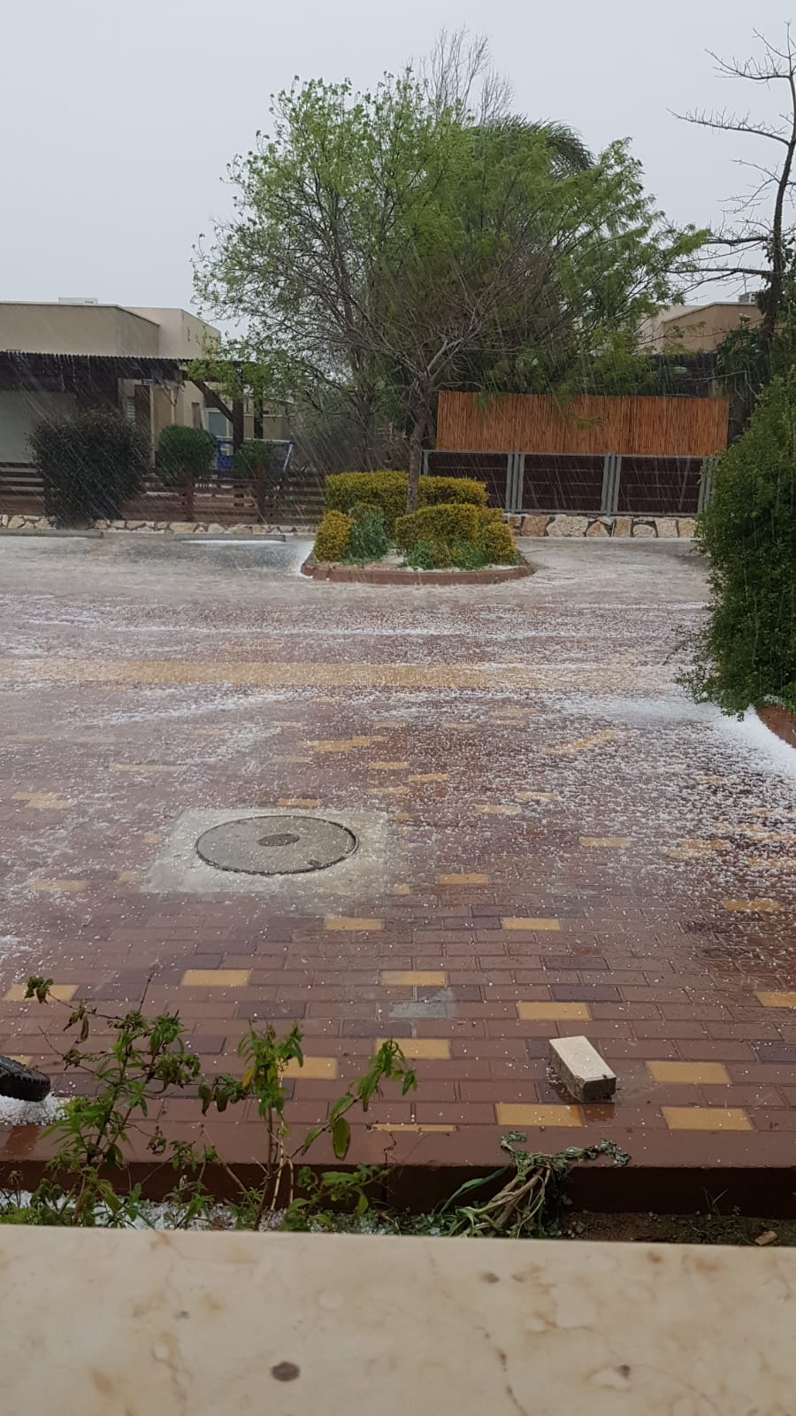 צילמו ליאור מלכא ואריאל מלכה