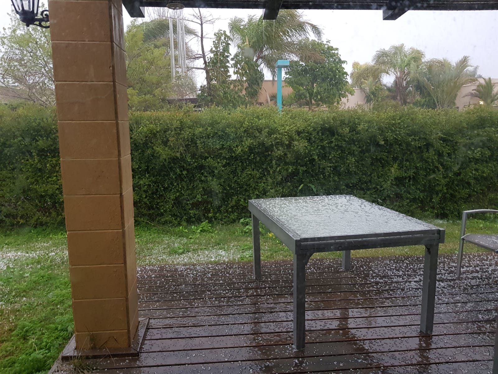 צילמו ליאור מלכא ואריאל מלכה