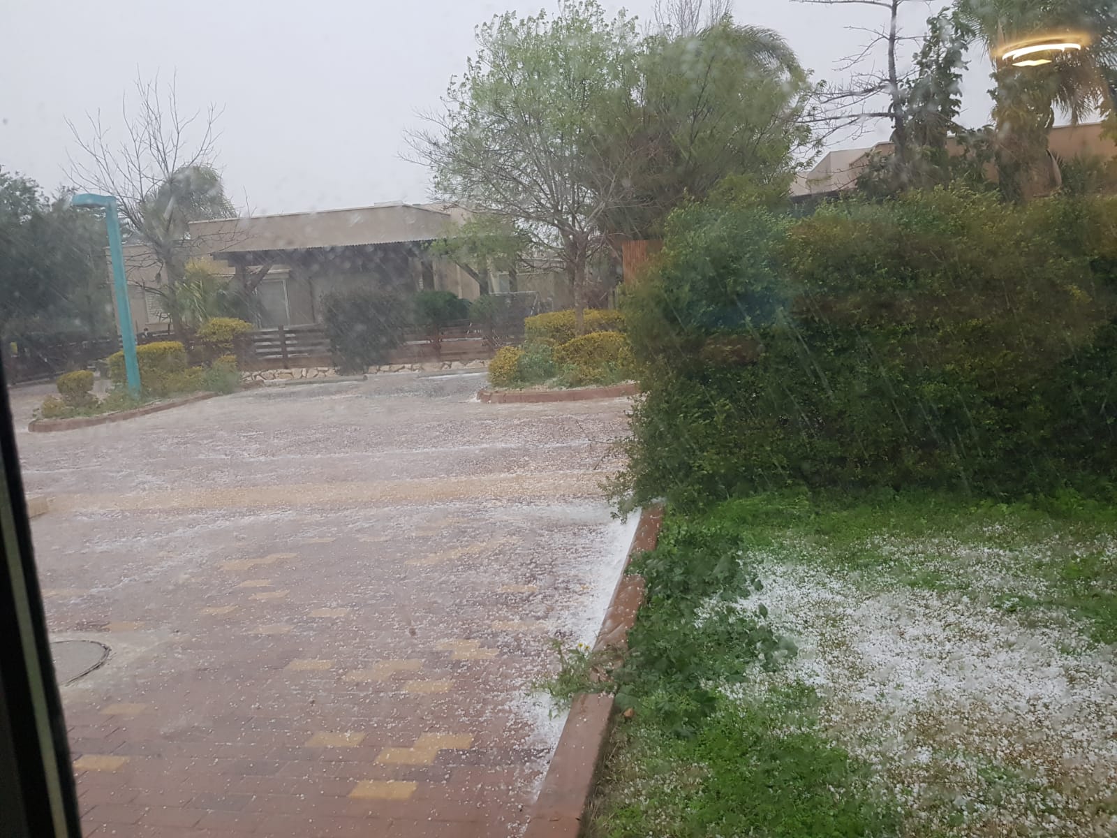 צילמו ליאור מלכא ואריאל מלכה