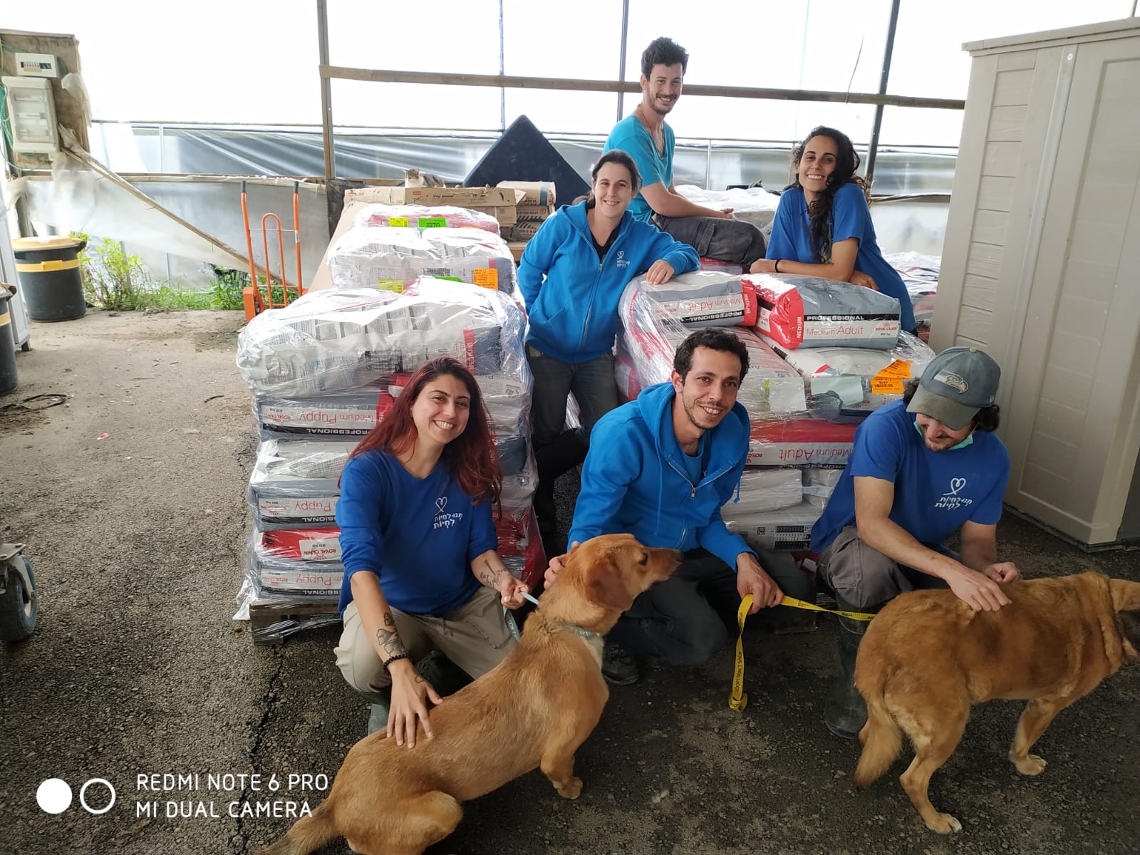 תנו לחיות לחיות 