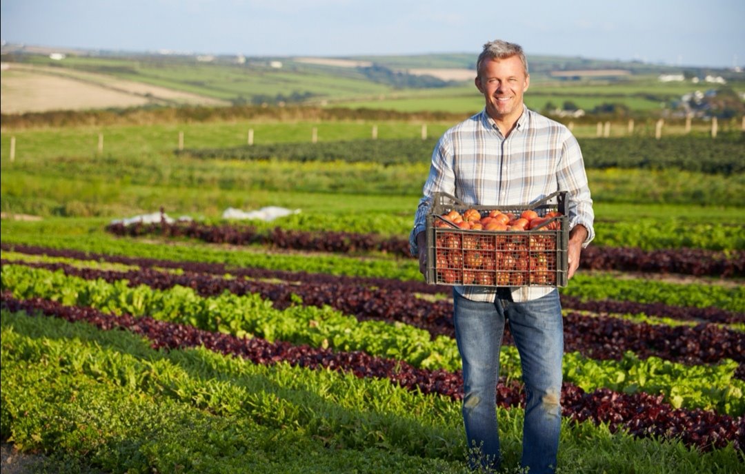 צילום: shutterstock אילוסטרציה