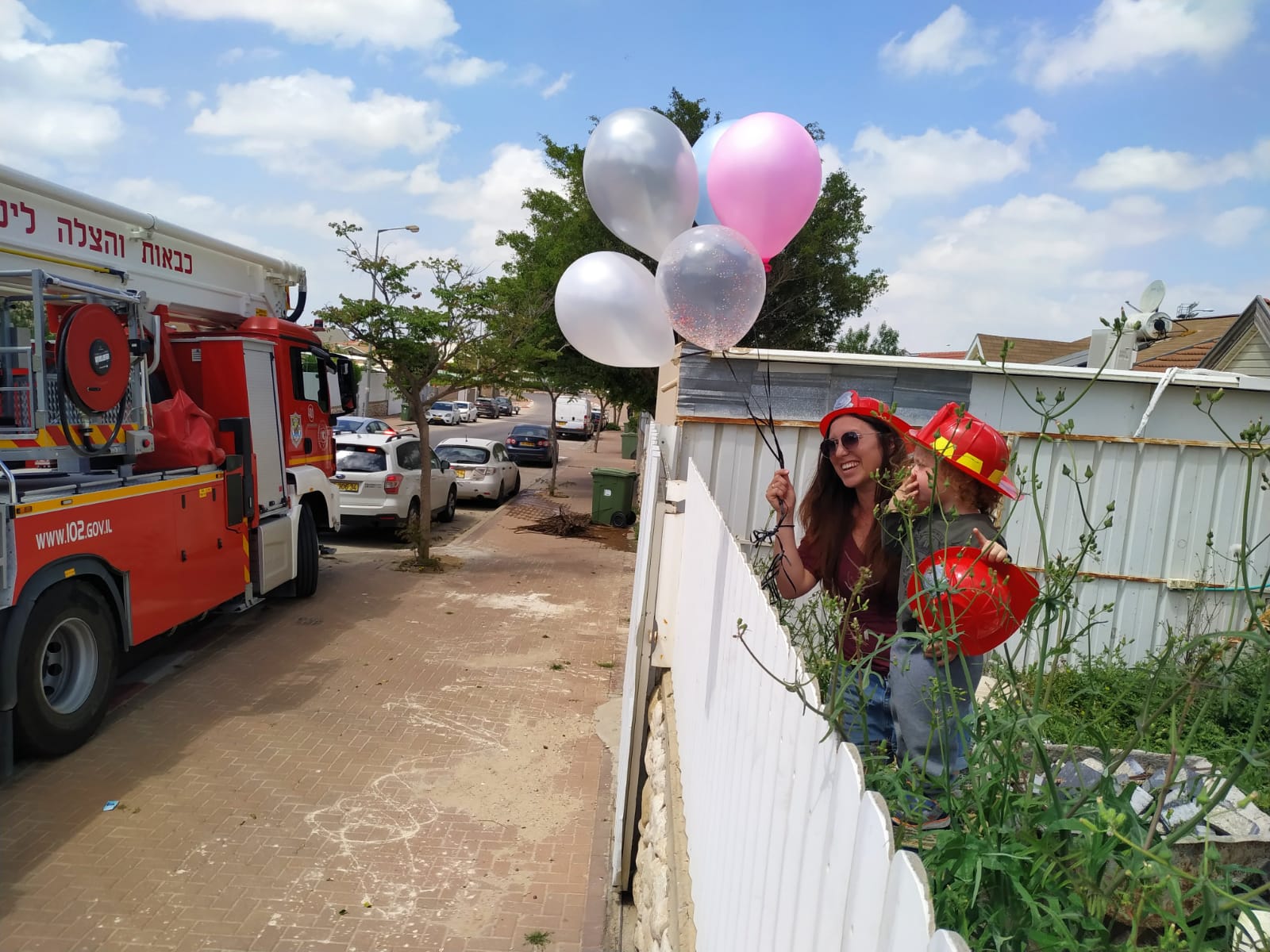 צילום: שי טובול