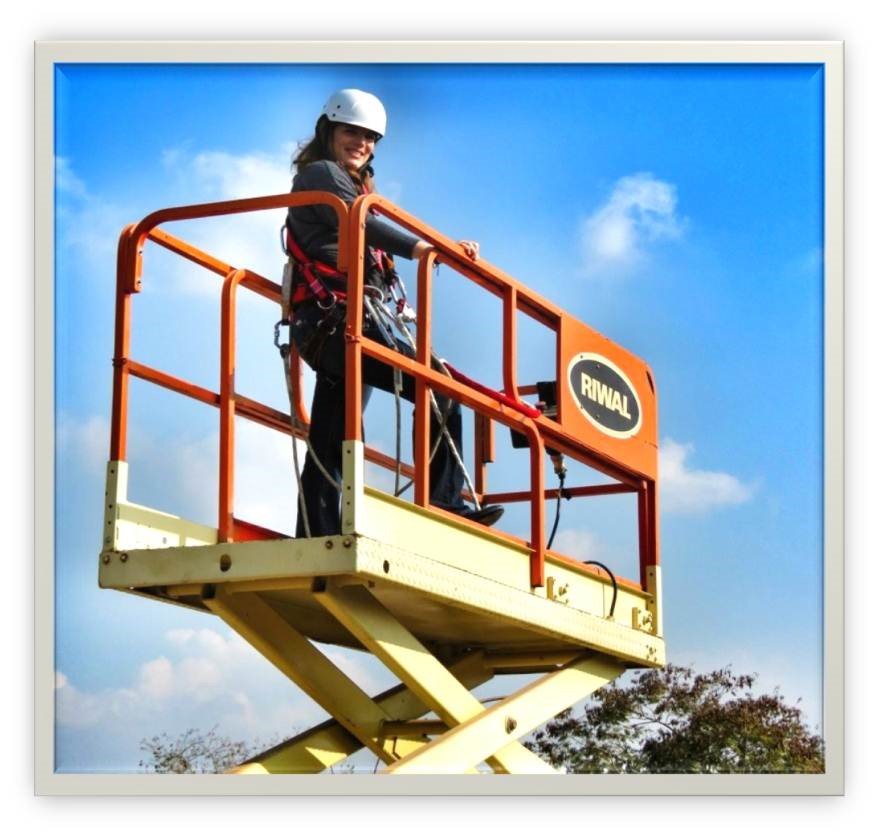 מכללת  במבי