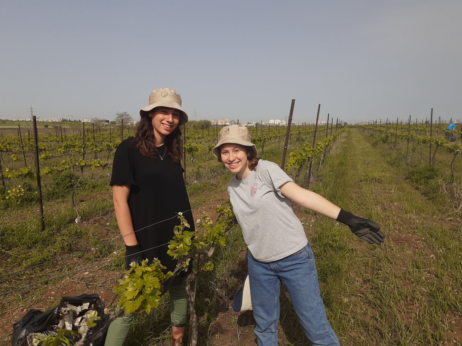 חקלאים בימי קורונה 