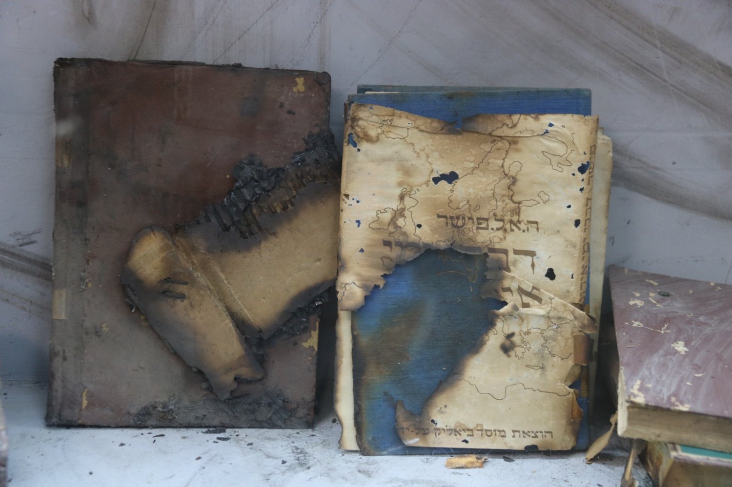 קרדיט: הילה מיוחס וינברגר