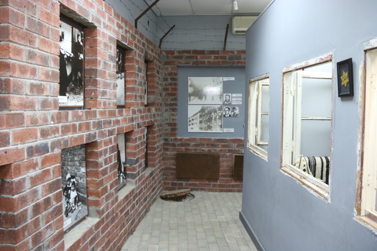 קרדיט: הילה מיוחס וינברגר