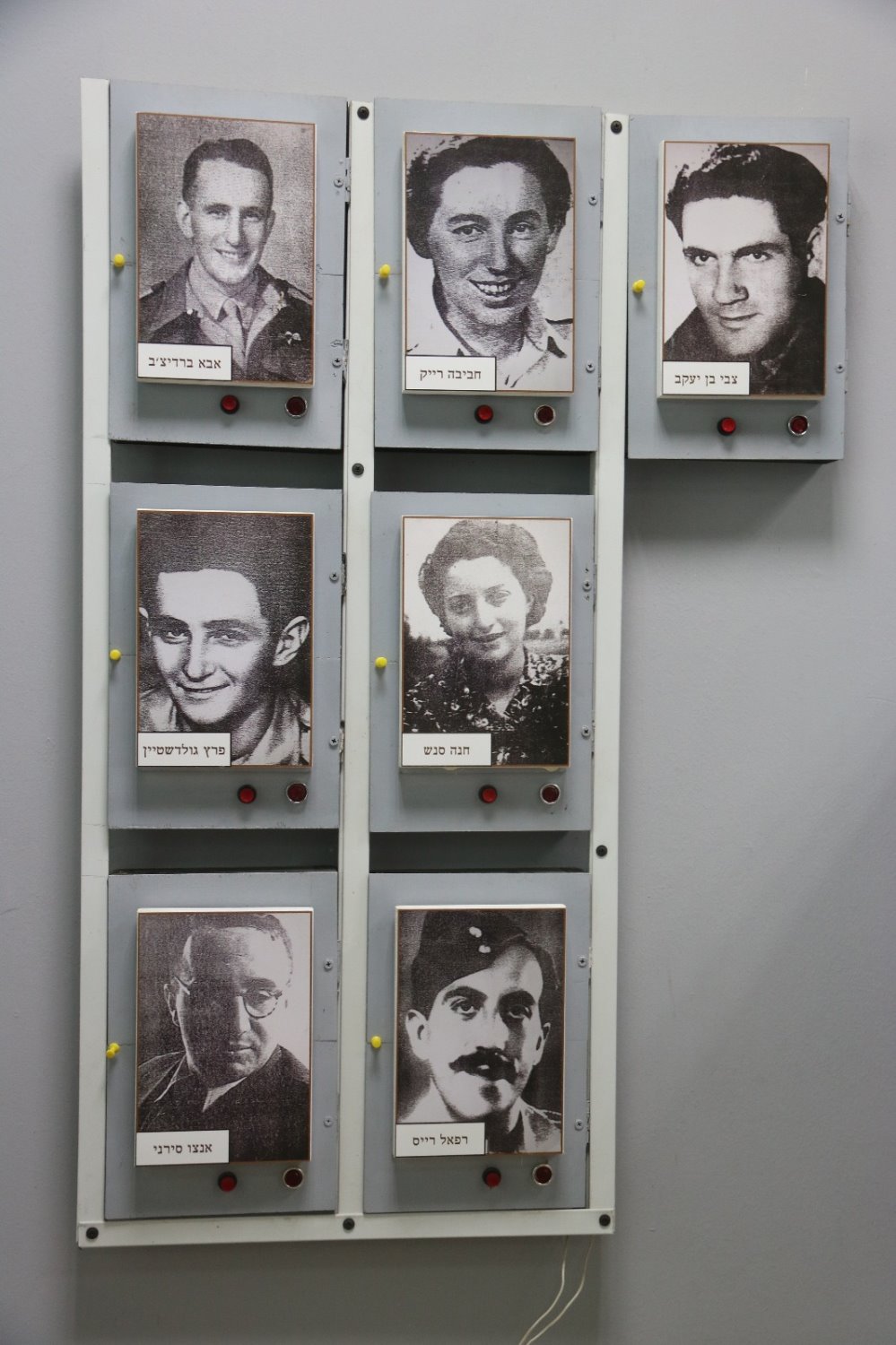 קרדיט: הילה מיוחס וינברגר