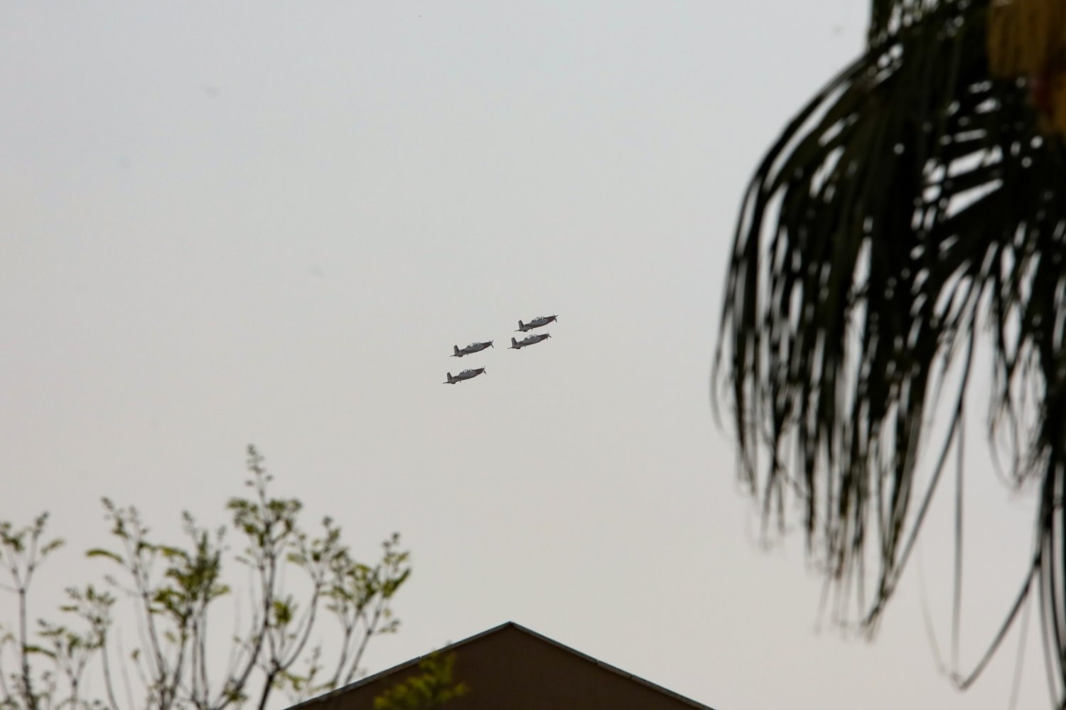 צילום: זאב דיקמן 