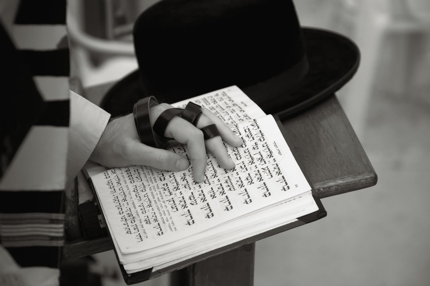 צילום: shutterstock 