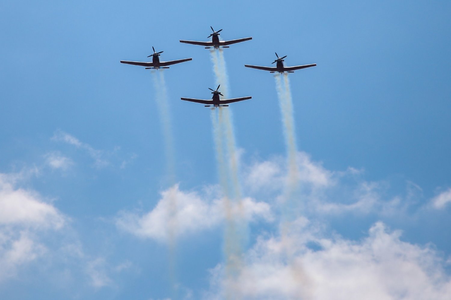 צילום: זאב דיקמן 