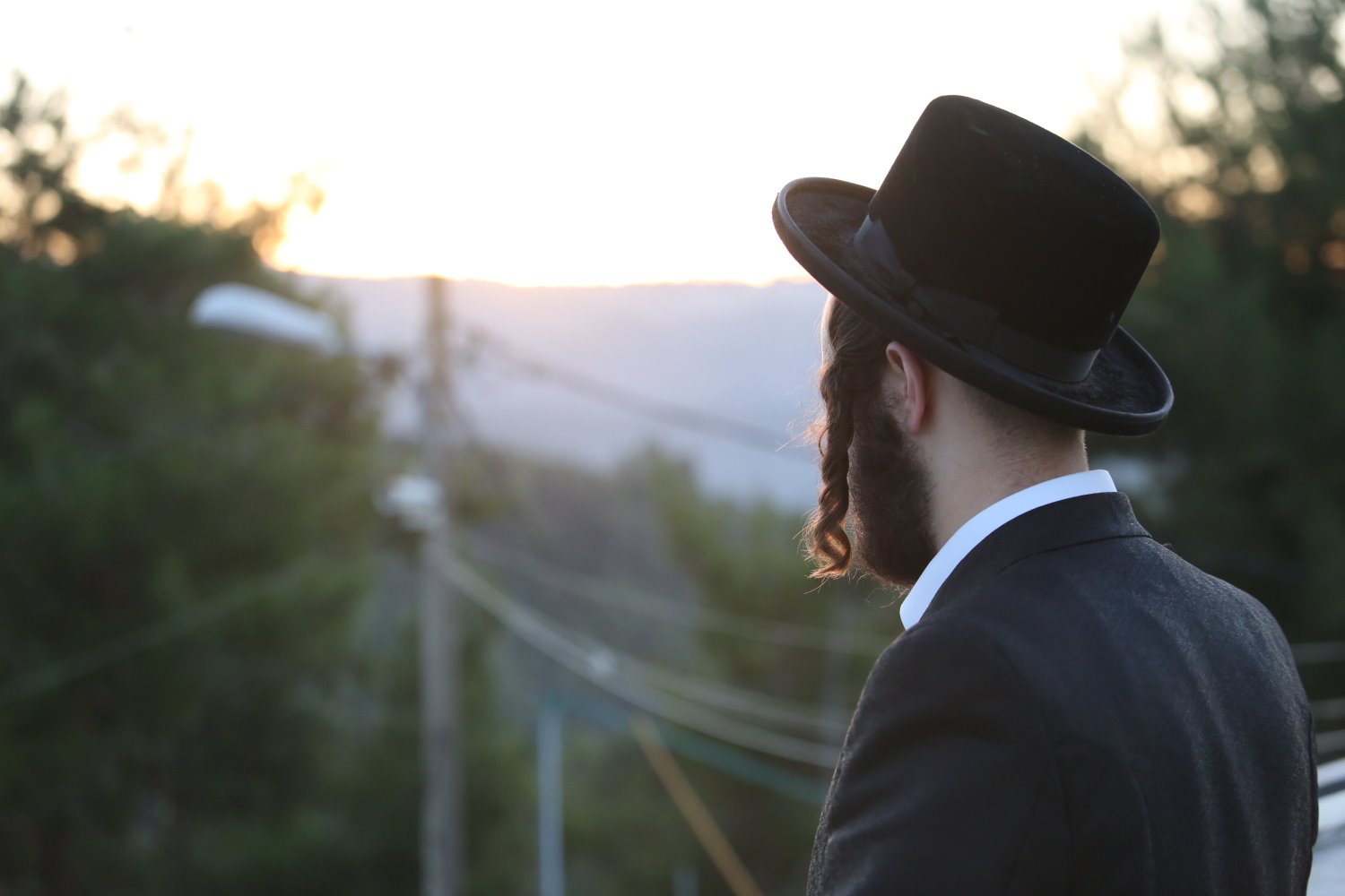 תמונה לא נבחרה