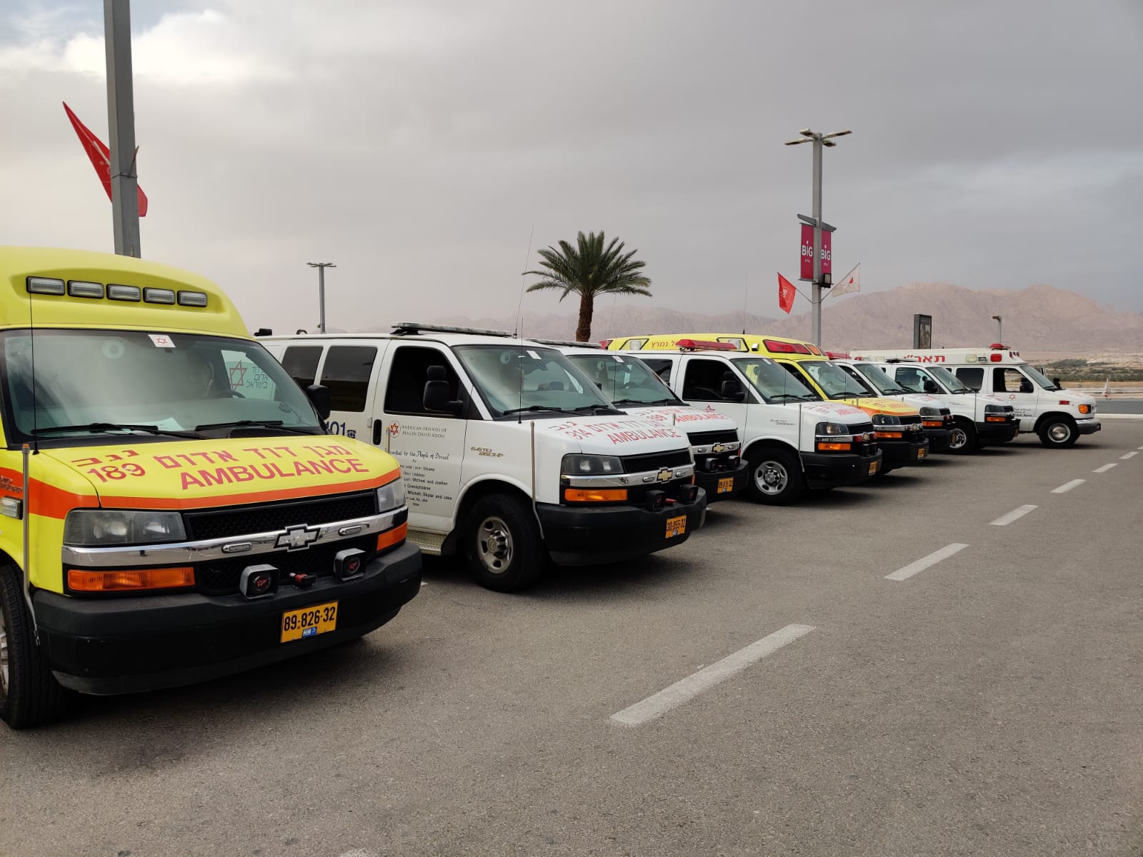 צילום באדיבות מד&quot;א