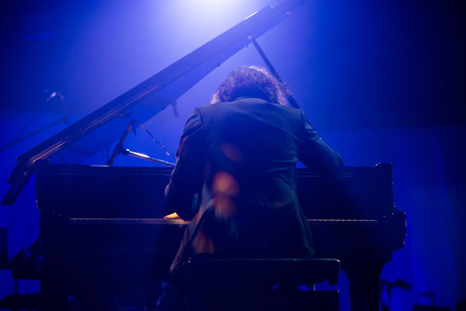 צילום אילוסטרציה Shutterstock