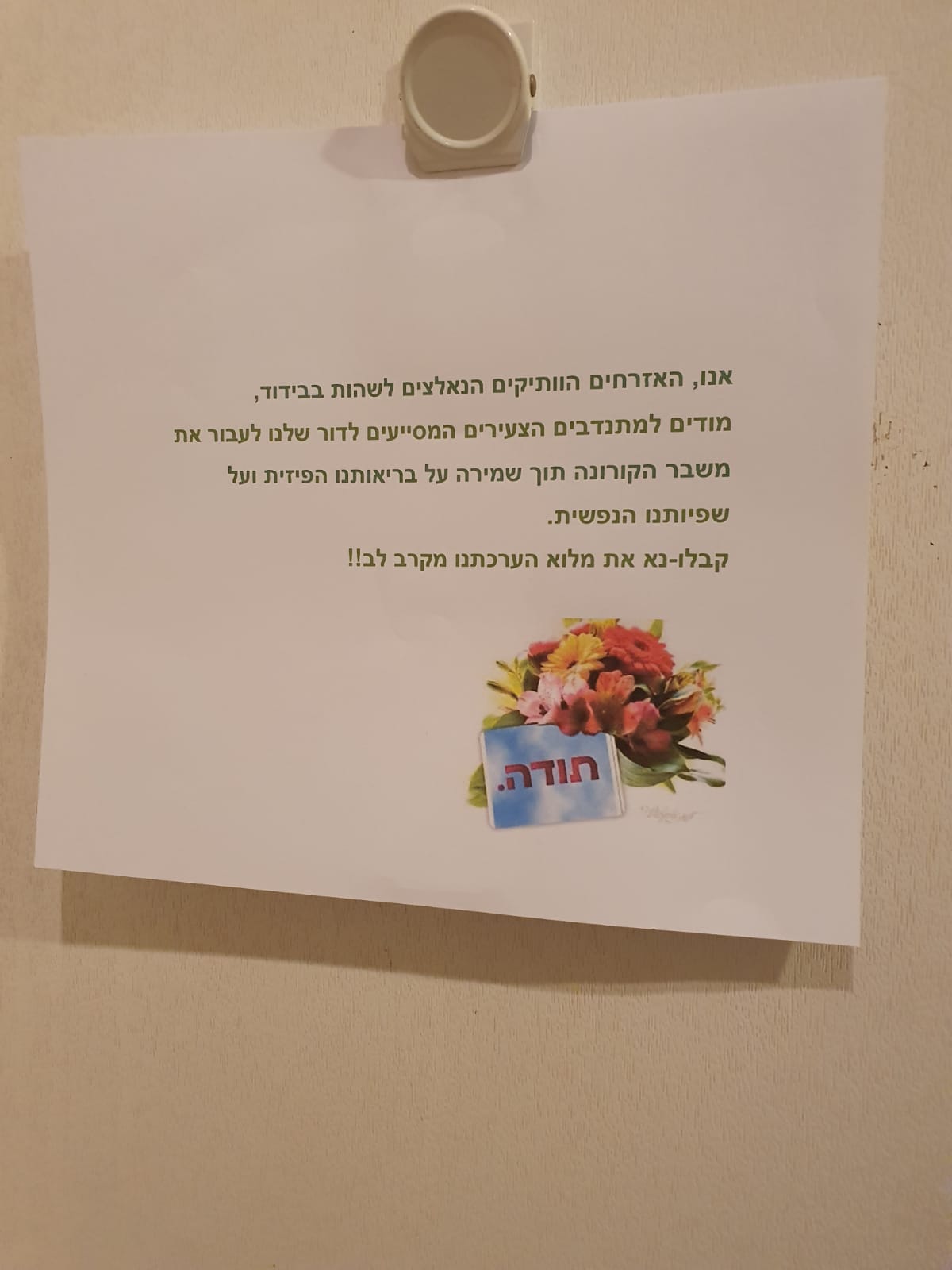 מיזם pillivery